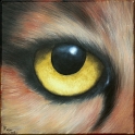 Augenblick eines Wolfes Acryl auf Leinwand;
30 x 30 cm